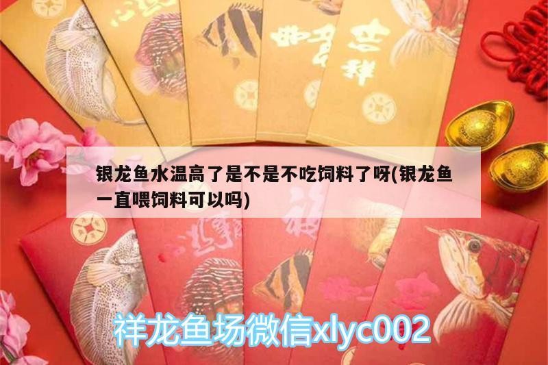 銀龍魚(yú)水溫高了是不是不吃飼料了呀(銀龍魚(yú)一直喂飼料可以嗎)
