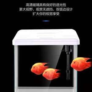 龍魚沉頭后多久需要換水？（如何判斷龍魚是否沉頭？）