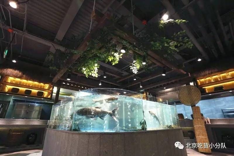 愛上魚魚缸怎么樣：愛上魚魚缸體驗館愛上魚魚缸體驗館愛上魚魚缸體驗館 愛上魚魚缸怎么樣：愛上魚魚缸體驗館愛上魚魚缸體驗館愛上魚魚缸體驗館 魚缸百科 第4張