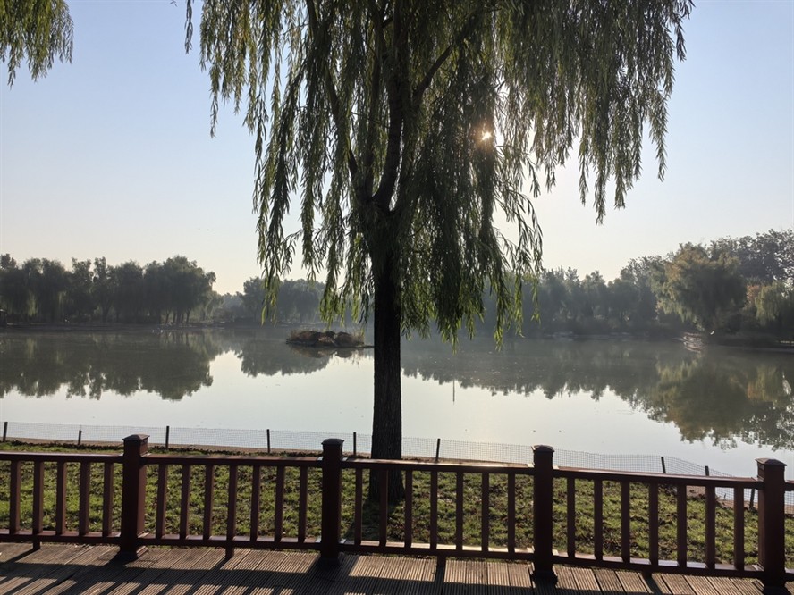 堅(jiān)持愛(ài)好！