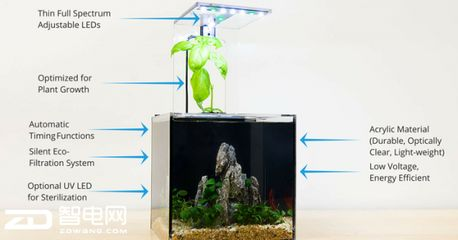 不換水不過濾的生態(tài)魚缸:如何建立一個(gè)不換水不過濾的生態(tài)魚缸 魚缸百科 第1張 不換水不過濾的生態(tài)魚缸:如何建立一個(gè)不換水不過濾的生態(tài)魚缸 不換水不過濾的生態(tài)魚缸:如何建立一個(gè)不換水不過濾的生態(tài)魚缸 魚缸百科 第1張