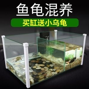 玻璃魚缸怎么開洞視頻：如何在玻璃魚缸上開洞