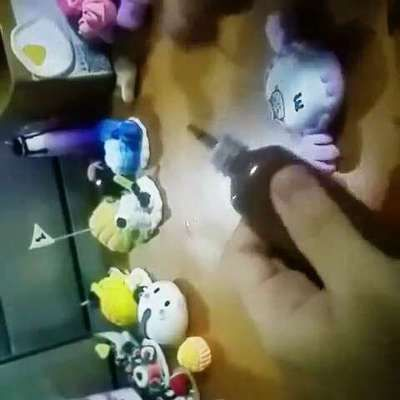 森森樂園 233樂園：森森樂園和233樂園是一個概念嗎？