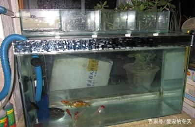 大型魚缸組裝視頻:大型魚缸制作基礎知識在觀看大型魚缸做法視頻教程 魚缸百科 第1張 大型魚缸組裝視頻:大型魚缸制作基礎知識在觀看大型魚缸做法視頻教程 大型魚缸組裝視頻:大型魚缸制作基礎知識在觀看大型魚缸做法視頻教程 魚缸百科 第1張