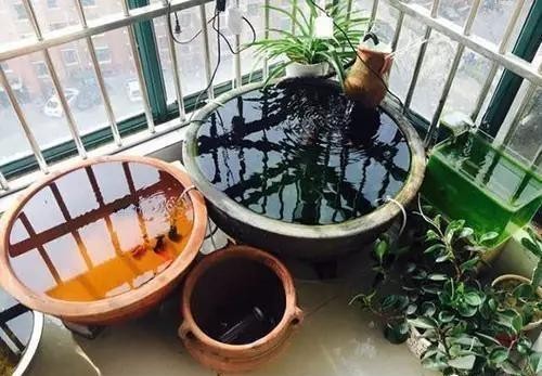 彩蝶魚缸強制導(dǎo)流盒怎么安裝視頻（彩蝶魚缸強制導(dǎo)流盒怎么安裝視頻教程） 彩蝶魚缸強制導(dǎo)流盒怎么安裝視頻（彩蝶魚缸強制導(dǎo)流盒怎么安裝視頻教程） 觀賞魚百科