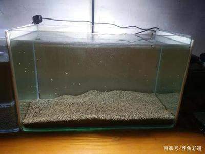 荊州哪里有賣魚缸的市場啊圖片（荊州哪里有賣魚缸的市場啊圖片及價格）