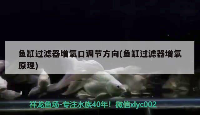 博特新材料泰州有限公司福州分公司電話號碼（博特新材料泰州有限公司福州分公司電話號碼查詢）