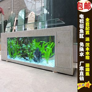 如何判斷龍魚是否受到攻擊？，判斷龍魚是否受到攻擊，關鍵在于細致觀察其