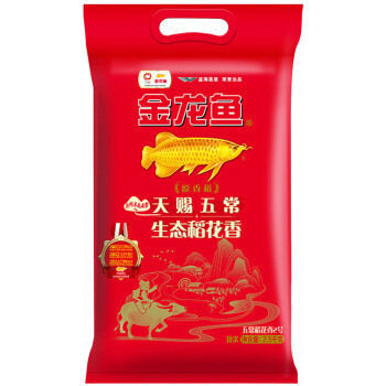 龍魚趴缸是什么原因,怎么治療 龍魚上午趴缸下午就沒事了怎么回事(龍魚晚上趴缸怎么回事) 觀賞魚百科 龍魚上午趴缸下午就沒事了怎么回事(龍魚晚上趴缸怎么回事) 龍魚上午趴缸下午就沒事了怎么回事(龍魚晚上趴缸怎么回事) 觀賞魚百科