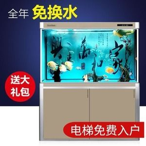 1米高魚缸能改底過濾嗎：1米高的魚缸可以改造成底過濾式魚缸上濾改為底過濾的優缺點 1米高魚缸能改底過濾嗎：1米高的魚缸可以改造成底過濾式魚缸上濾改為底過濾的優缺點 魚缸百科 第1張