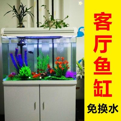 不曬水直接給魚缸換水：魚缸換水的注意事項