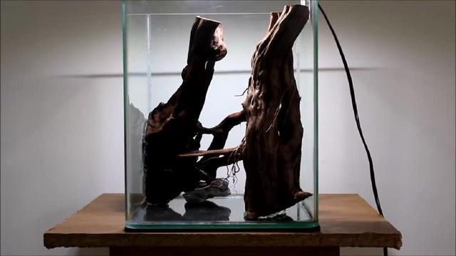 錫林浩特市劉瑩水族館（錫林浩特市劉瑩水族館地址）