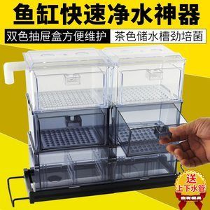 茶色玻璃魚缸適合養(yǎng)什么魚：什么樣的魚適合在茶色玻璃魚缸中飼養(yǎng)？