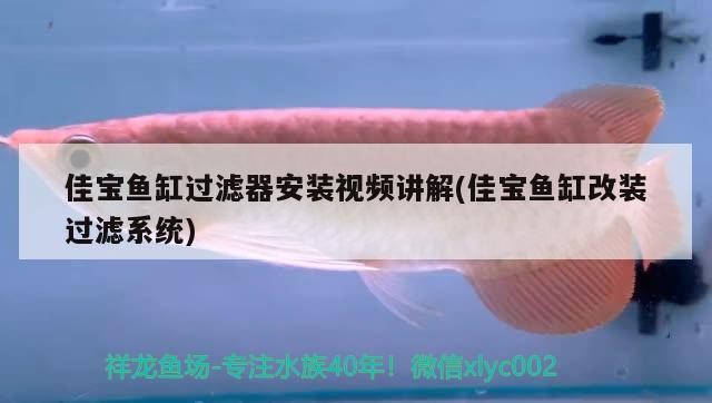 佳寶魚缸過濾器安裝視頻講解(佳寶魚缸改裝過濾系統) 佳寶魚缸過濾器安裝視頻講解(佳寶魚缸改裝過濾系統) 虎魚百科