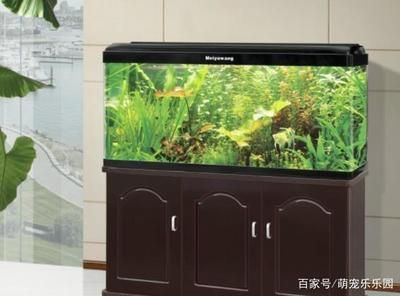 玻璃膠補魚缸漏水怎么辦：魚缸漏水的處理方法
