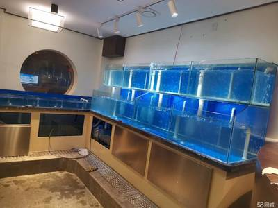 龍魚鱗片脫落時(shí)需要根據(jù)具體原因選擇合適的藥物，龍魚鱗片脫落會自愈嗎龍魚鱗片脫落會自愈嗎