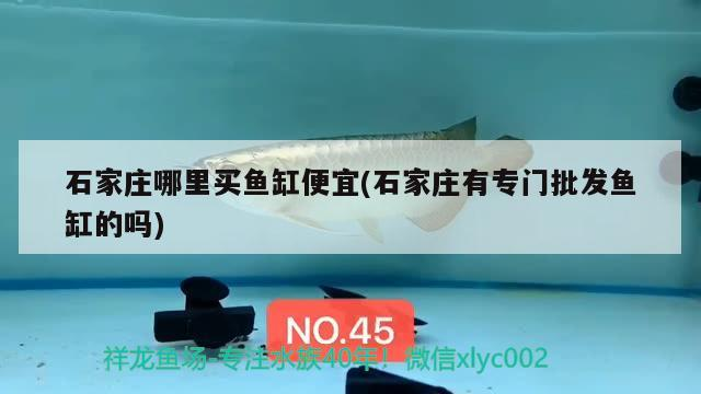 博特水泵安裝示意圖：博特水泵哪里產的