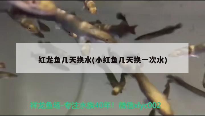博特水泵安裝示意圖：博特水泵哪里產的