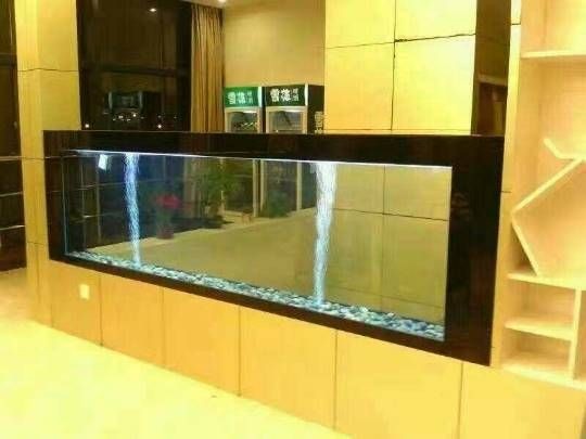 玻璃魚(yú)缸外側(cè)有小裂縫：修補(bǔ)玻璃魚(yú)缸外側(cè)小裂縫的方法 玻璃魚(yú)缸外側(cè)有小裂縫：修補(bǔ)玻璃魚(yú)缸外側(cè)小裂縫的方法 魚(yú)缸百科 第3張