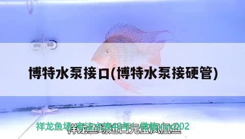 博特水泵接口(博特水泵接硬管)