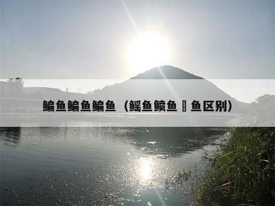 魟魚(yú)怎么讀音讀出來(lái)的拼音怎么寫(xiě)啊視頻：魟魚(yú)怎么讀音讀出來(lái)的拼音怎么寫(xiě)