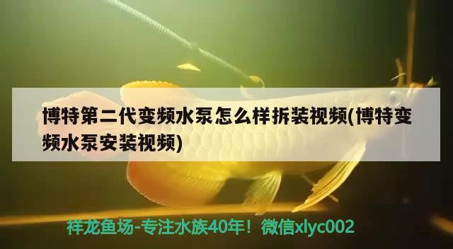 博特第二代變頻水泵怎么樣拆裝視頻(博特變頻水泵安裝視頻)