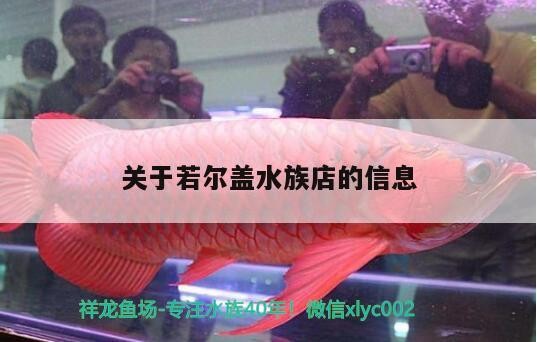 關(guān)于若爾蓋水族店的信息
