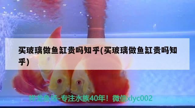 買(mǎi)玻璃做魚(yú)缸貴嗎知乎(買(mǎi)玻璃做魚(yú)缸貴嗎知乎) 買(mǎi)玻璃做魚(yú)缸貴嗎知乎(買(mǎi)玻璃做魚(yú)缸貴嗎知乎) 森森魚(yú)缸
