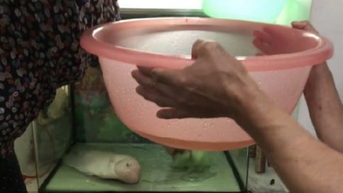 魚缸上水管改造方案圖解（魚缸上水管改造方案圖解視頻） 魚缸上水管改造方案圖解（魚缸上水管改造方案圖解視頻） 觀賞魚百科