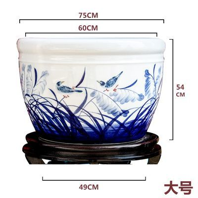 龍魚干蝦有營養嗎 騰龍魚缸質量怎么樣啊 觀賞魚百科 騰龍魚缸質量怎么樣啊 騰龍魚缸質量怎么樣啊 觀賞魚百科