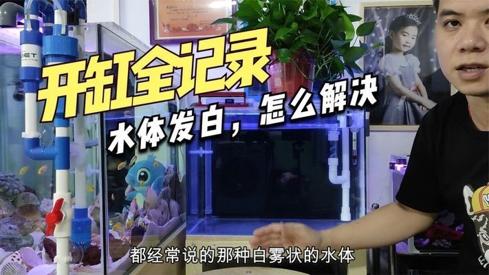 大慶市薩爾圖區大千水族館（大慶市薩爾圖區大千水族館電話）