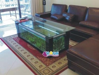 家用魚缸十大名牌排名