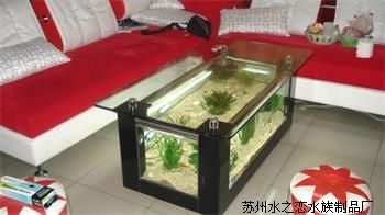 茶葉放魚(yú)缸里會(huì)壞嗎：茶葉不適合放入魚(yú)缸，但茶水不適合放入魚(yú)缸，對(duì)魚(yú)產(chǎn)生不良影響 茶葉放魚(yú)缸里會(huì)壞嗎：茶葉不適合放入魚(yú)缸，但茶水不適合放入魚(yú)缸，對(duì)魚(yú)產(chǎn)生不良影響 魚(yú)缸百科 第3張