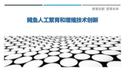 黑帝王魟魚人工繁殖技術進展，黑帝王魟魚的人工繁殖技術是提高繁殖成功率的關鍵