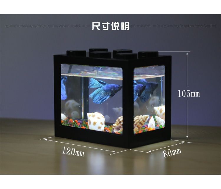 斗魚魚缸怎么布置：斗魚的魚缸布置不同的燈光顏色和強度會對斗魚的影響