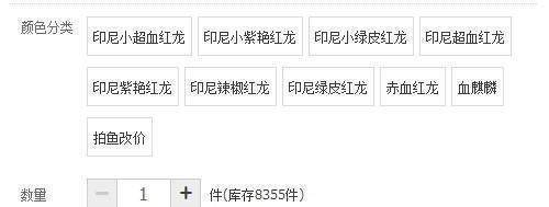 10公分的紅龍圖片