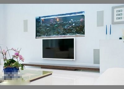 白色魚缸背景