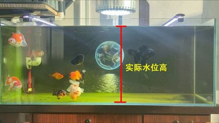 大蘇打魚缸放多少水合適呢：關于大蘇打在魚缸中使用的相關信息 大蘇打魚缸放多少水合適呢：關于大蘇打在魚缸中使用的相關信息 魚缸百科 第4張