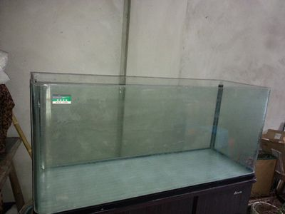 大蘇打魚缸放多少水合適呢：關于大蘇打在魚缸中使用的相關信息