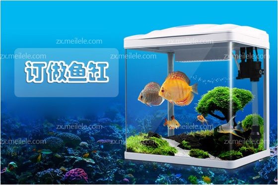 金龍魚企業(yè)在中國市場的占有率是多少？（金龍魚企業(yè)在中國市場的占有率達(dá)到了約15%）
