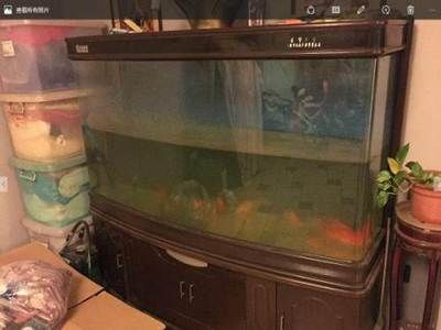 搬家了魚缸怎么辦：搬家時魚缸搬運注意事項在搬運魚缸之前需要注意的事項