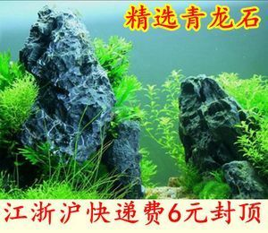 虎皮魚缸造景的重要性：虎皮魚缸造景是一種常見的水質管理和調整魚缸水質管理 虎皮魚缸造景的重要性：虎皮魚缸造景是一種常見的水質管理和調整魚缸水質管理 虎魚百科 第3張