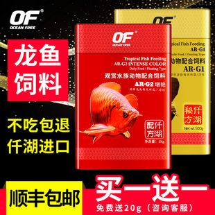 紅龍魚品牌有哪些產品好用又便宜的：探索紅龍魚品牌