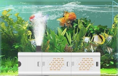 淮南市田家庵區美寶水族店（淮南哪里有美寶蓮專柜）