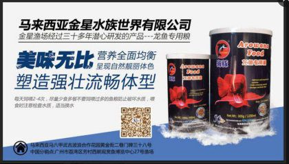 紅龍魚哪里買便宜：紅龍魚市場價格趨勢 紅龍魚哪里買便宜：紅龍魚市場價格趨勢 紅龍魚百科 第4張