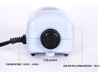重慶市九龍坡區金羽水族店（重慶市九龍坡區金羽水族店電話）