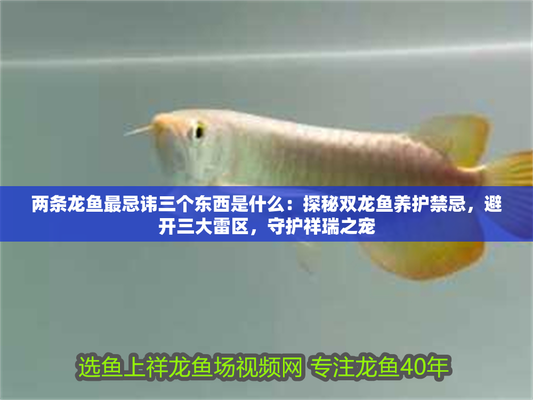 龍魚最忌三種魚