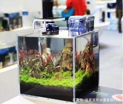 超白缸魚缸推薦：超白魚缸品牌推薦 超白缸魚缸推薦：超白魚缸品牌推薦 魚缸百科 第3張