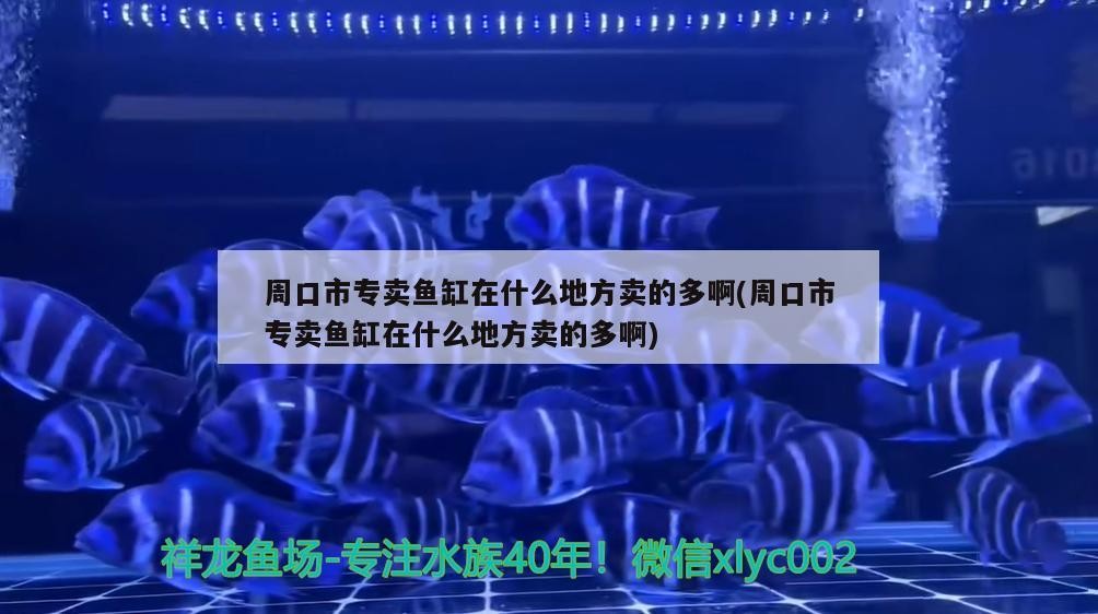 周口市專賣(mài)魚(yú)缸在什么地方賣(mài)的多啊(周口市專賣(mài)魚(yú)缸在什么地方賣(mài)的多啊) 周口市專賣(mài)魚(yú)缸在什么地方賣(mài)的多啊(周口市專賣(mài)魚(yú)缸在什么地方賣(mài)的多啊) 魟魚(yú)百科 第2張