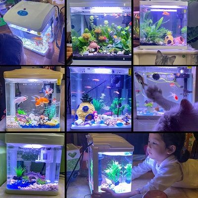 森森小魚缸改造：森森小魚缸改造的一些常見方法